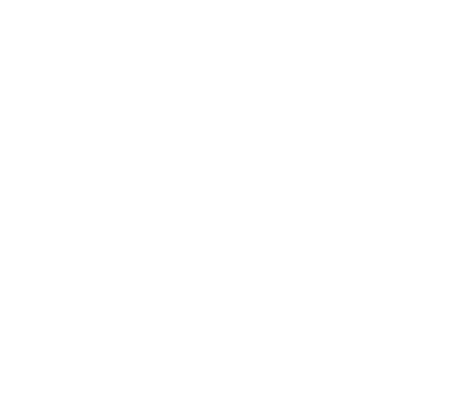 Firuza Azizova Designer